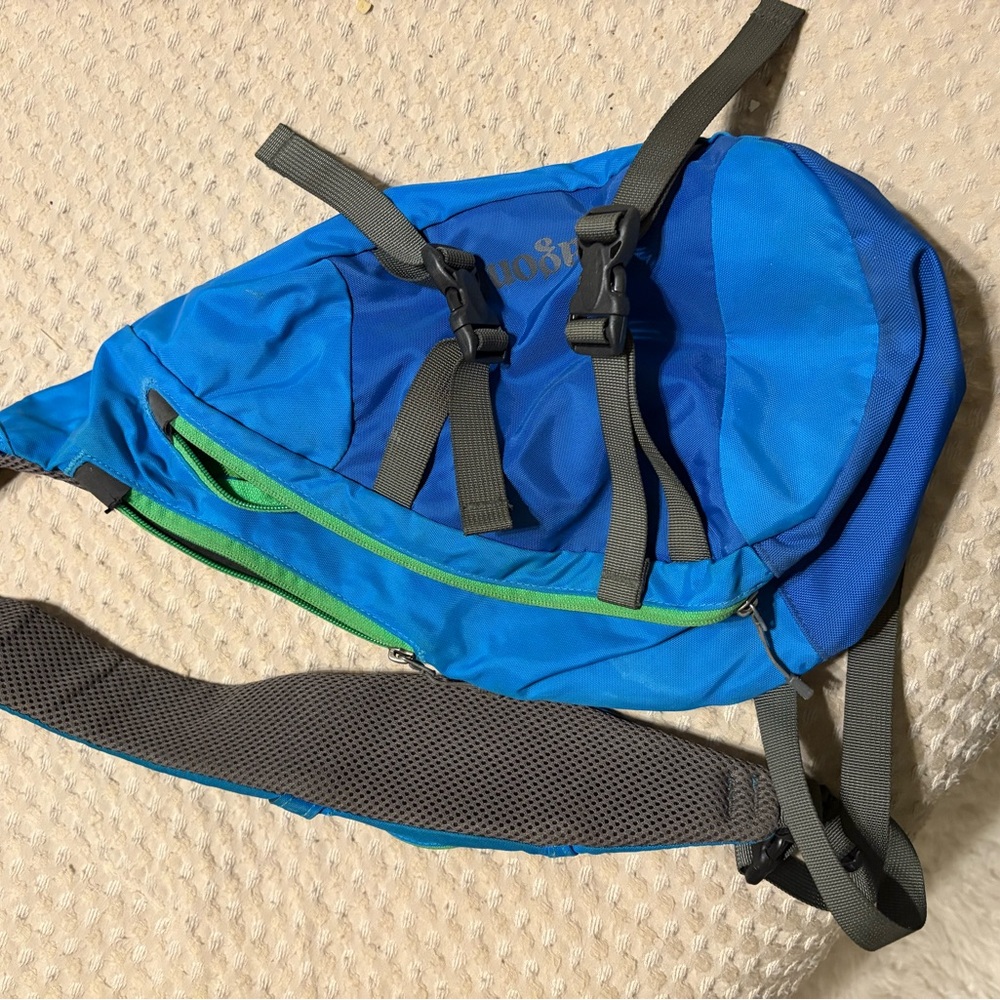 Patagonia cross body bag